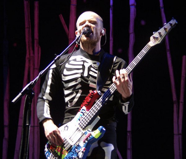 Рассматриваем бас-гитары Flea из Red Hot Chili Peppers