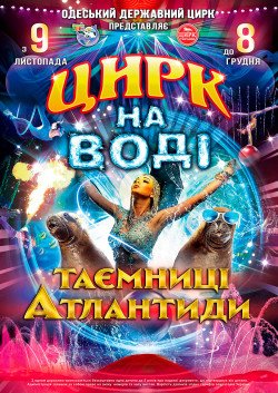 Цирк на воде. Сумы